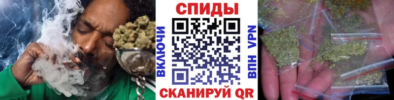 Купить закладки  Жердевка  БУТИРАТ буратино 
