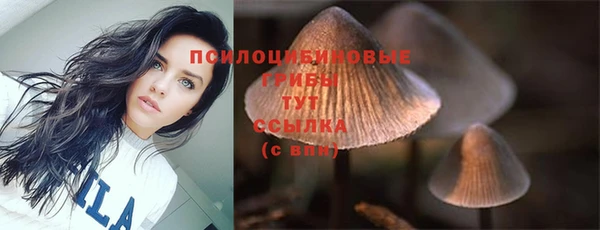 спайс Кинешма