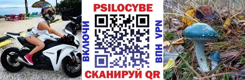 Купить закладки  Жердевка  Псилоцибиновые грибы Magic Shrooms 